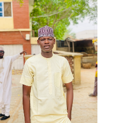 Sulaiman Shu'abu Yakubu-Freelancer in Kano,Nigeria