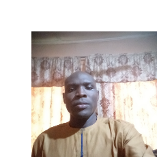 Ishola Abdulganiyu-Freelancer in Lagos,Nigeria