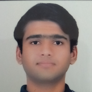 Sarvesh More-Freelancer in Pune,India