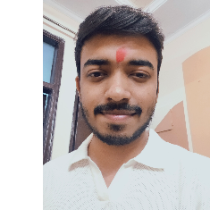 Shourya Pal-Freelancer in Delhi,India