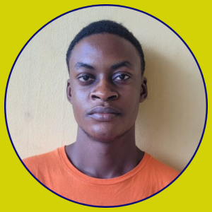 Boluwatife Adebayo-Freelancer in Lagos Island,Nigeria