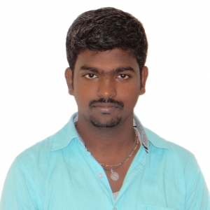 Rajan Mahadevan-Freelancer in Chennai,India