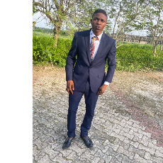 Raphael Shadare-Freelancer in Ibadan,Nigeria