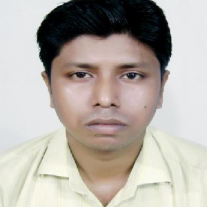 Biswajit Bhowmick-Freelancer in Kolkata,India