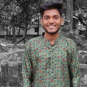 masud developer-Freelancer in savar,Bangladesh