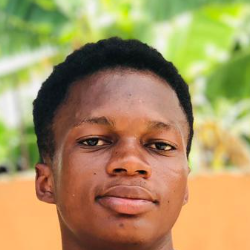 Frank Ntim Tetteh-Freelancer in Koforidua,Ghana
