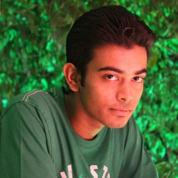 Shubham Biswas-Freelancer in Panchkula,India