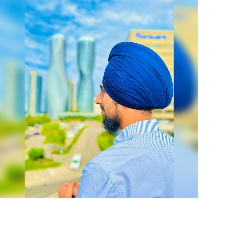 Rajdeep Dhillon-Freelancer in Caledon,Canada