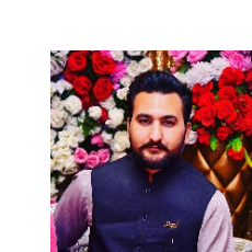 Hamza Butt-Freelancer in Lahore,Pakistan
