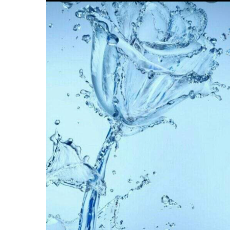 Sarah Ifeoluwa-Freelancer in Lagos,Nigeria