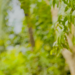 Ayon Saha-Freelancer in Dhaka,Bangladesh