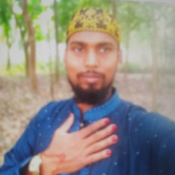 Ashraful Islam-Freelancer in Jhenaidah,Bangladesh