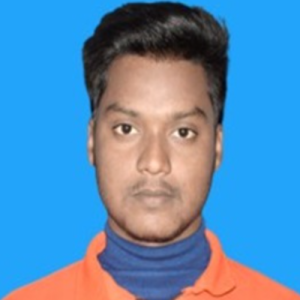 Rajesh Hossain Mondal-Freelancer in PASCHIM MEDINIPUR,India