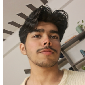 Punya Chauhan-Freelancer in Meerut,India
