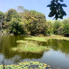 Kaviya T-Freelancer in Salem,India