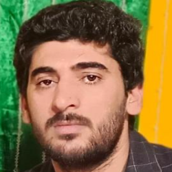Mohammad Mubashar Alvi-Freelancer in Lahore,Pakistan