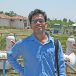 Balram Balram-Freelancer in Chandigarh,India