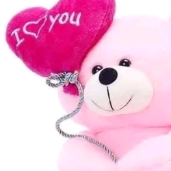 Disha-Freelancer in New Delhi,India