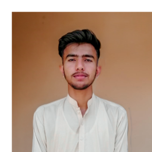 Mohib Ul Hassan-Freelancer in Islamabad,Pakistan