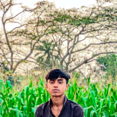 Rakibul Islam-Freelancer in Jinaidha,Bangladesh