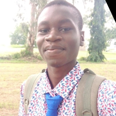 Abdulbasit Muili-Freelancer in Abuja,Nigeria