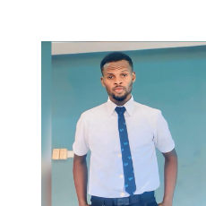 Israel Eze-Freelancer in Abuja,Nigeria