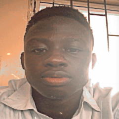 Adesida Adedolapo-Freelancer in Owo,Nigeria