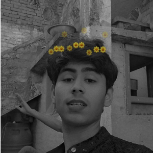 Prince Riza-Freelancer in areraj,India