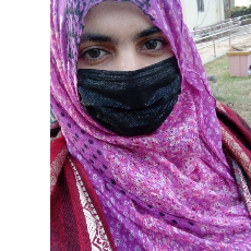 Palwisha Ramzan-Freelancer in Sahiwal,Pakistan