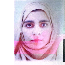 Nisha Raza-Freelancer in Pano Aqil,Pakistan