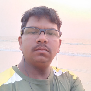 Ratnadeep Mandrekar-Freelancer in Goa,India