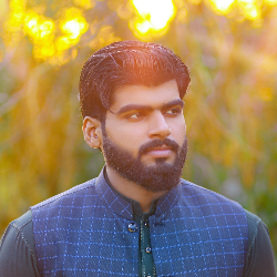 Mustafa Shoaib-Freelancer in Faisalabad,Pakistan