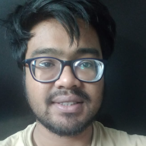 Subhankar Roy-Freelancer in New Delhi,India
