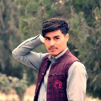 Khaledin Karimi-Freelancer in Wayne County,Afghanistan