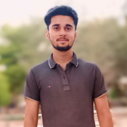 Anees Sahoo-Freelancer in Lahore,Pakistan
