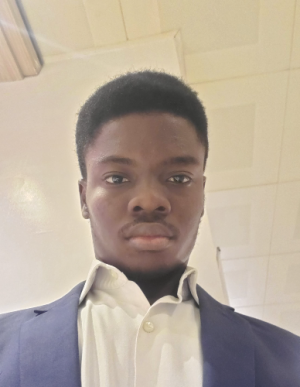 Adeyemi Isaac-Freelancer in Abuja,Nigeria