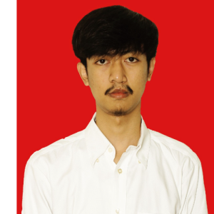 Muhammad Wildan-Freelancer in Bandung,Indonesia