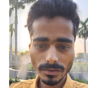 Jitesh Tiwari-Freelancer in Lucknow,India