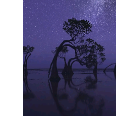 Aqeel khan-Freelancer in ,Pakistan