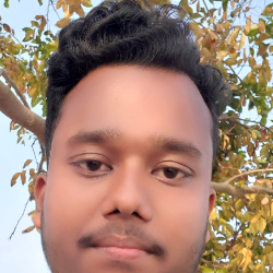 ANIRUDDHA DAS-Freelancer in Diamond Harbour,India