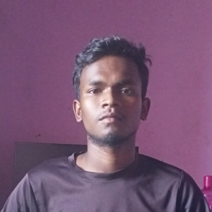 Gurudeb Karmakar-Freelancer in Chennai,India