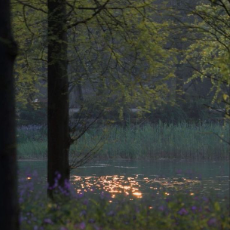 Muntaha Shakir-Freelancer in Karachi,Pakistan