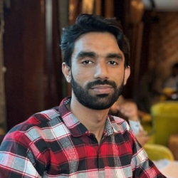 Muhammad Salman-Freelancer in Lahore,Pakistan