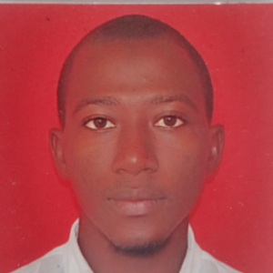 Ibraheem-Freelancer in Lagos,Nigeria