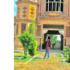 Ayesha Naveed-Freelancer in Chakwal,Pakistan
