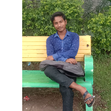 Dayanidhi Ghosh-Freelancer in BHATPARA,India