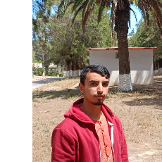Raouf Kraghel-Freelancer in Algiers,Algeria