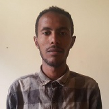Mizan Abaynew-Freelancer in ,Ethiopia