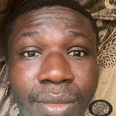 Babatunde Akinsemoyin-Freelancer in Lagos,Nigeria