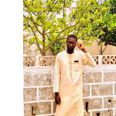 Abubakar Muhammad Bello-Freelancer in Gombe State,Nigeria